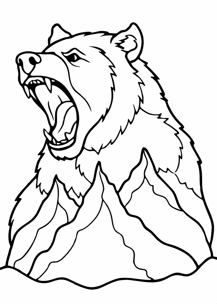 bear coloring page