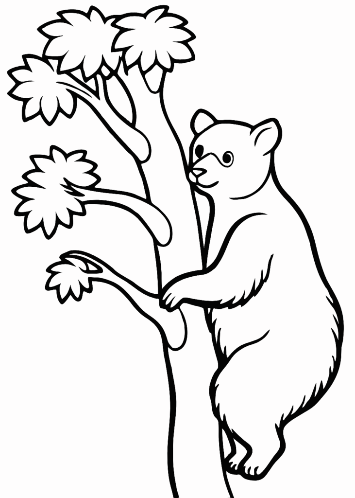 bear coloring page