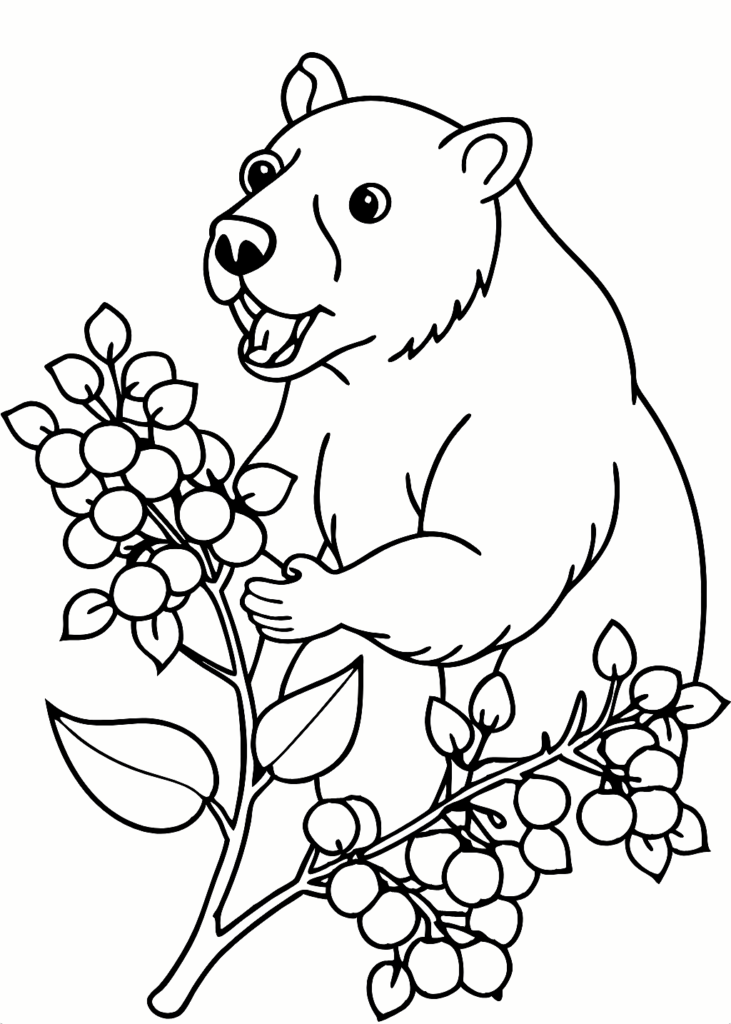 bear coloring page