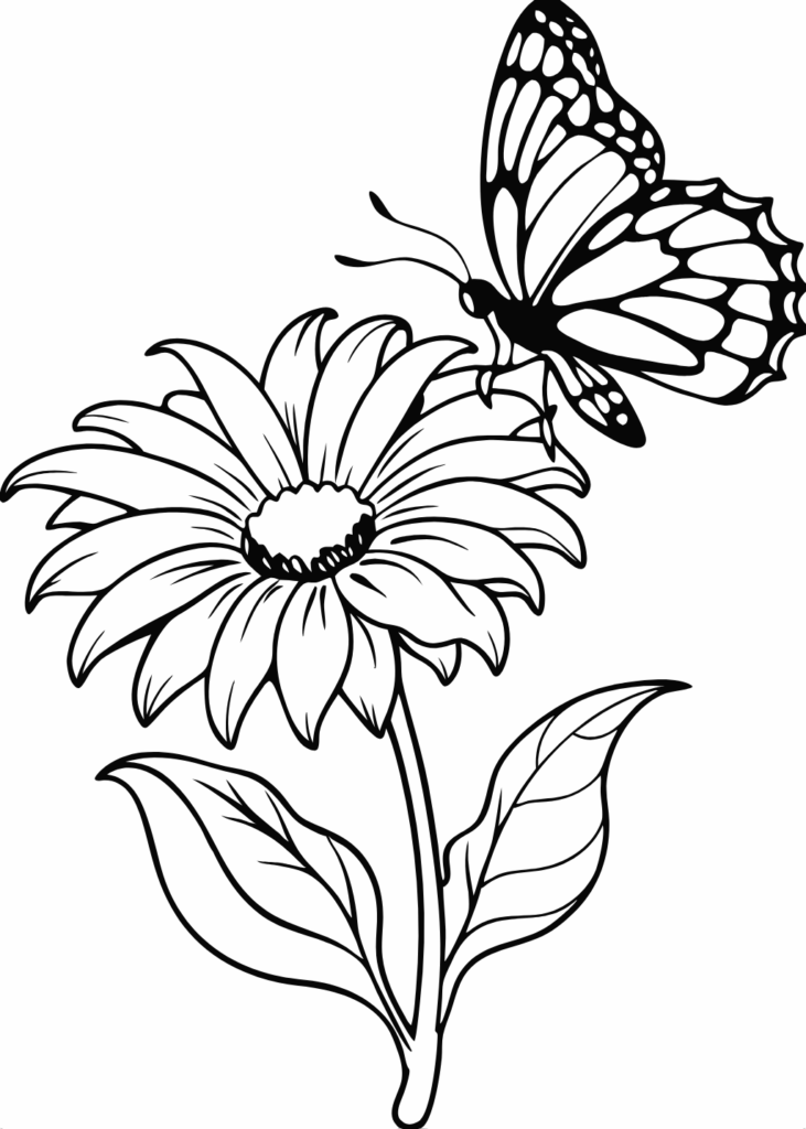 coloring pages