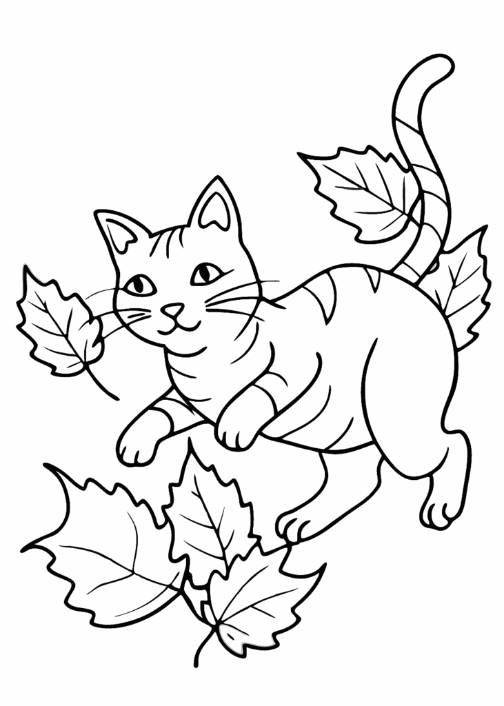 a cat coloring page