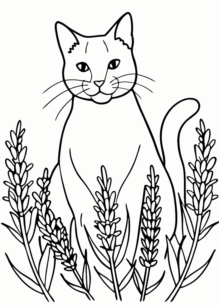 a cat coloring page