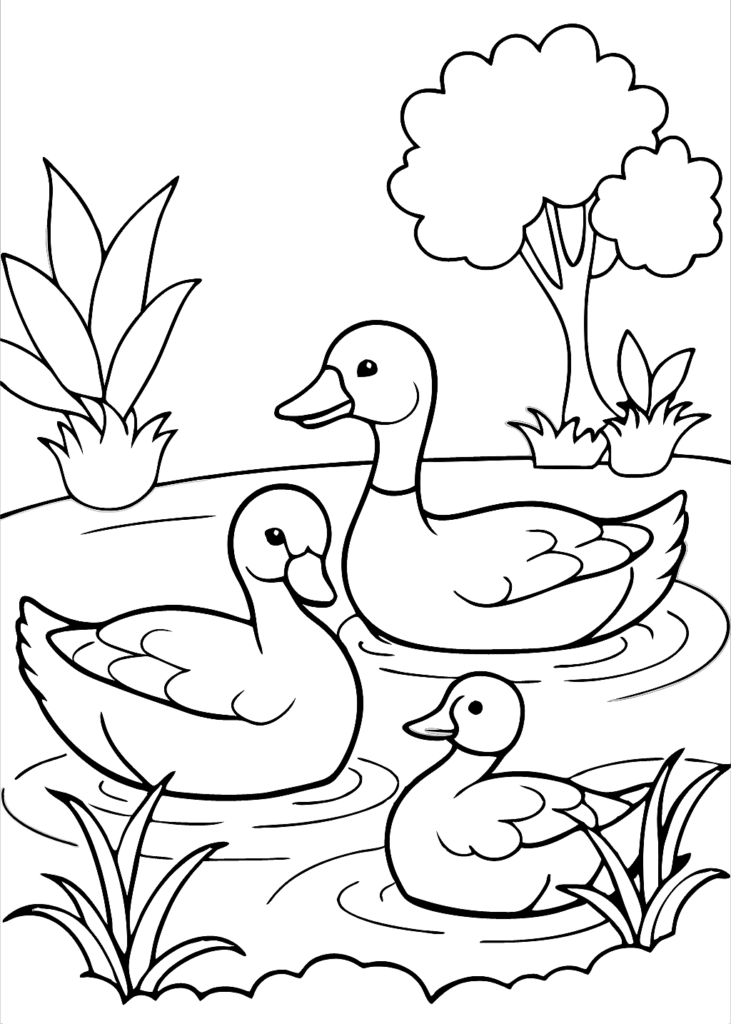 angry birds coloring pages