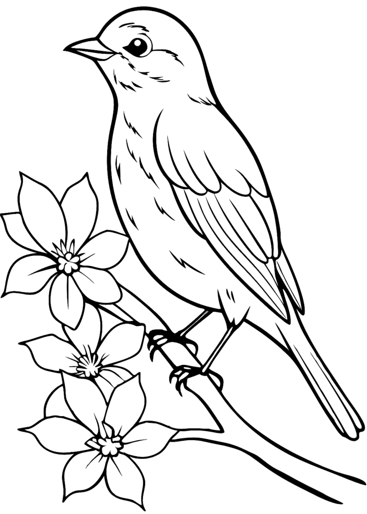 angry birds coloring pages