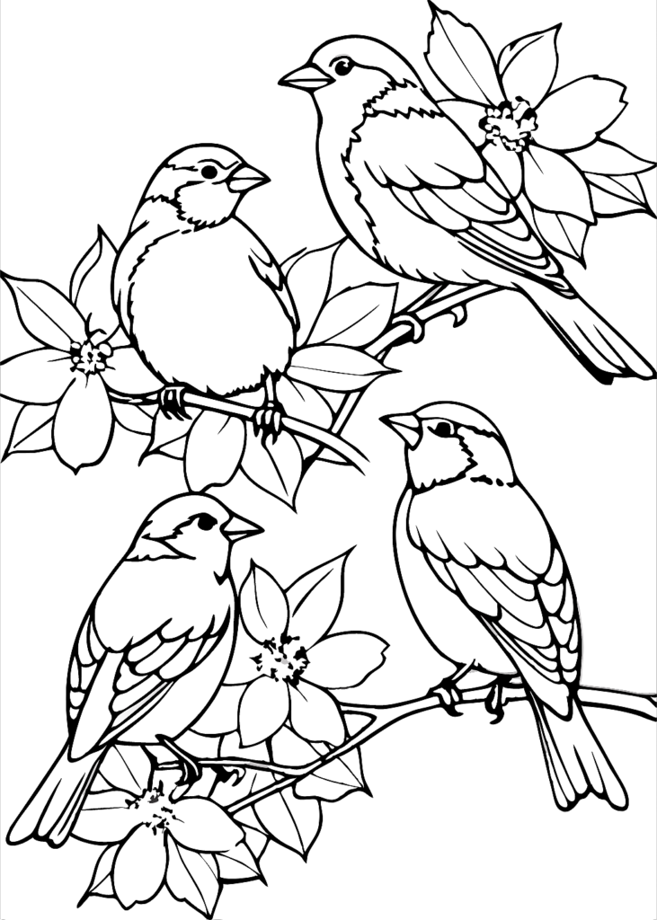 angry birds coloring pages