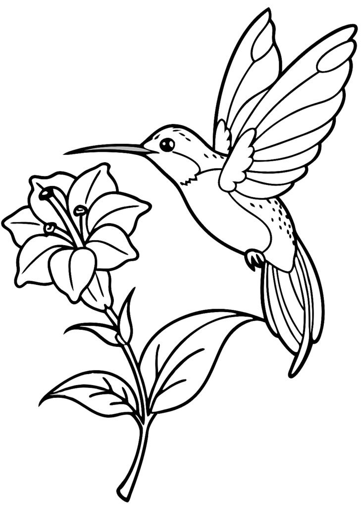 angry birds coloring pages