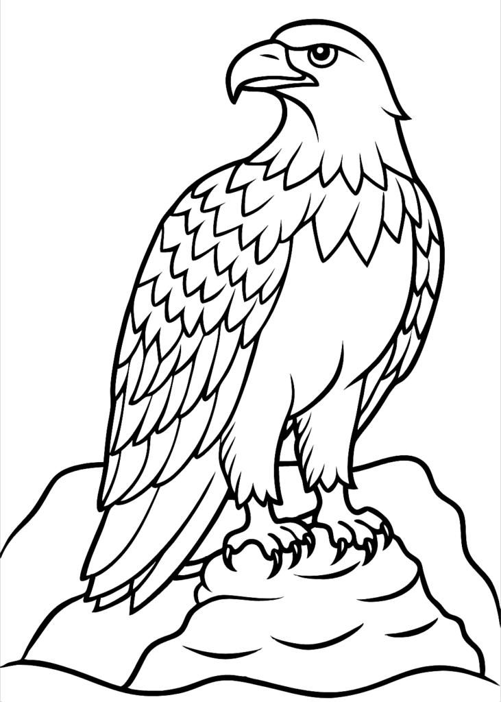 angry birds coloring pages